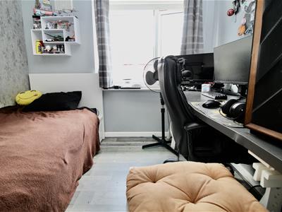 Picture 9